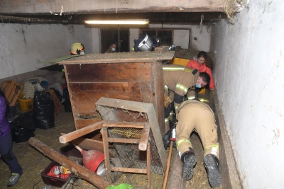 Feuerwehr Schwaz rettet Hasen "Wuschl"