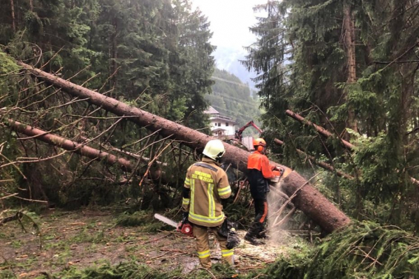 Großeinsatz nach schwerem Sturm im Raum Zell am Ziller