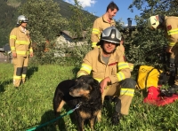 Tierischer Einsatz für die FF Uderns