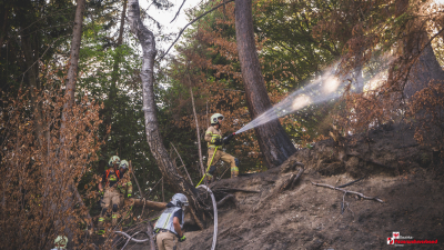 Schnelles Eingreifen verhindert Ausbreitung eines Waldbrandes
