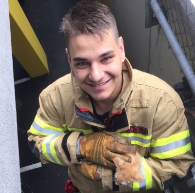 Katze steck in Fassade fest