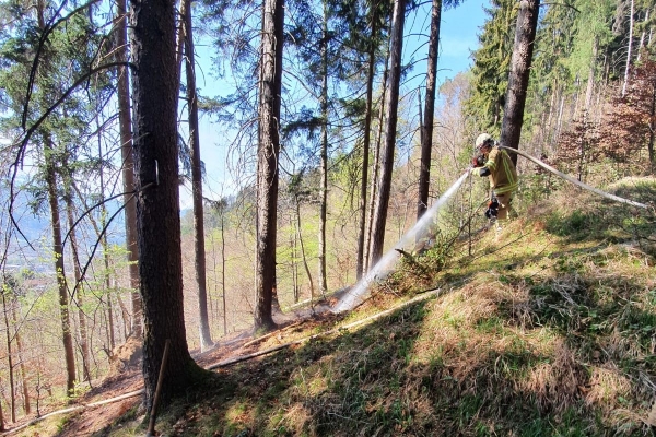 Entstehender Waldbrand in Stans frühzeitig entdeckt